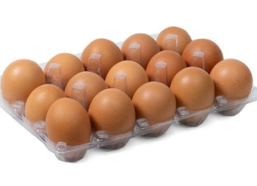 Telur Ayam Broiler